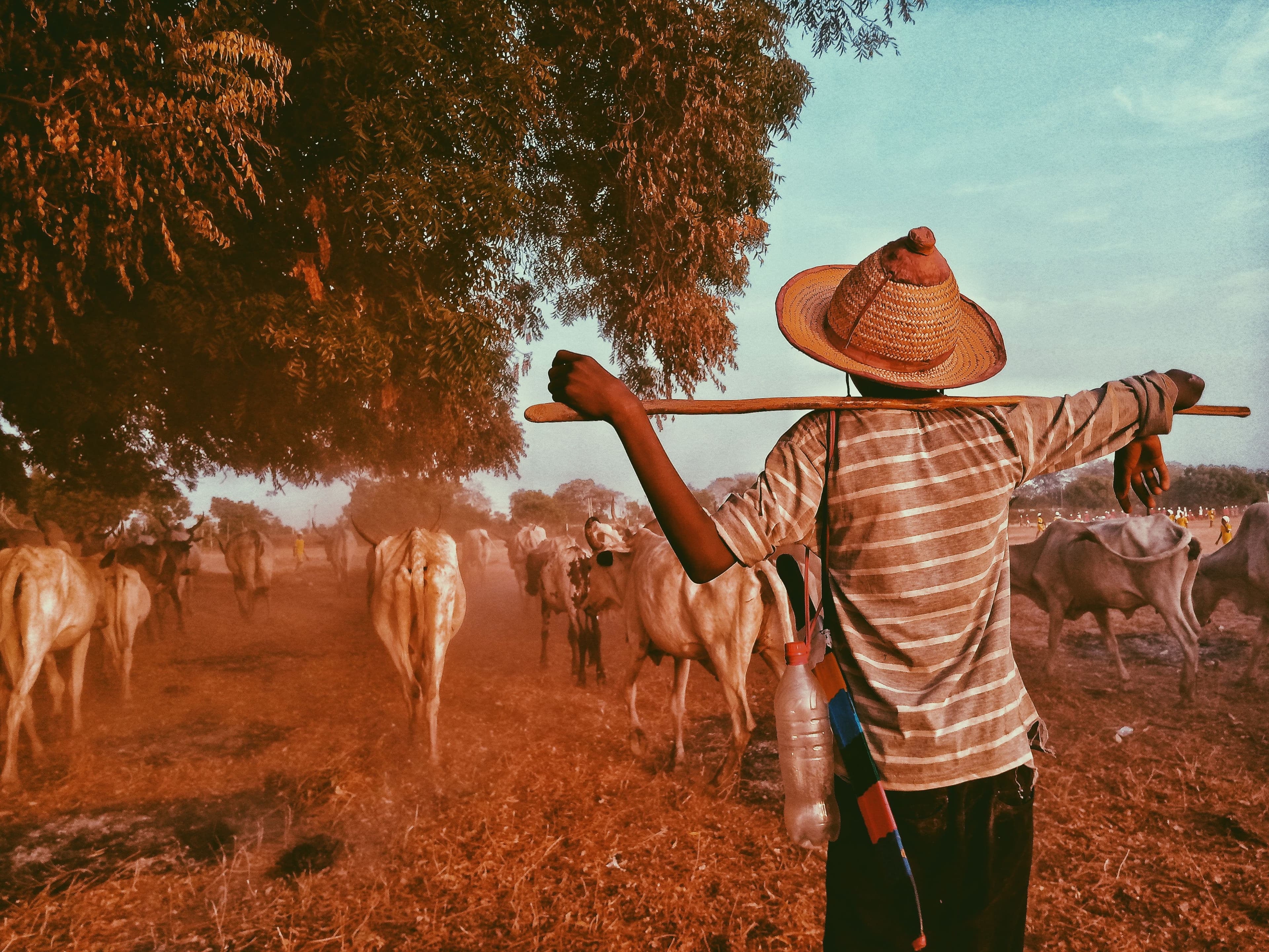 Happy Farmer