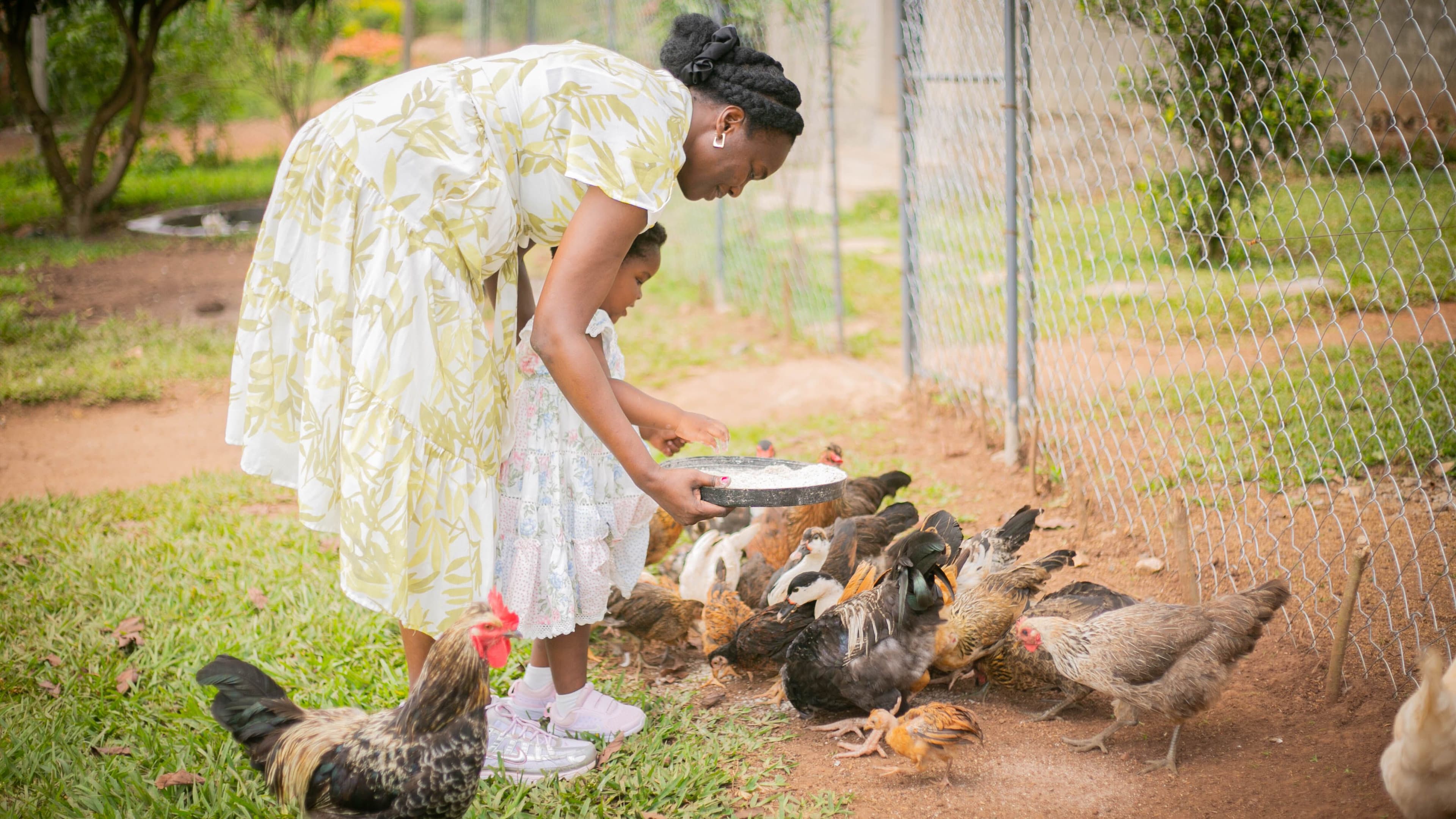 Up to 40% Off poultry Produce